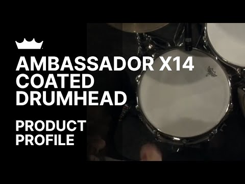 Ambassador X 14 Coated Drumhead | Remo
