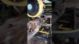 Full cutting - Part 2 - TK1300 - At Puerto Patriada - Sent by Oscar