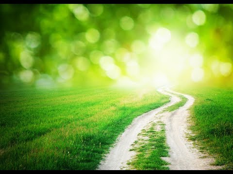 Sinesti Vazut De Sus