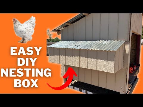 Tips and Tricks: Building a Perfect Nesting Box for Chicken Coops | DIY Chicken Coop Build