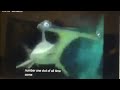 Finding Nemo Dvd Commercial