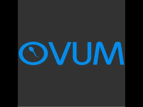 JOSH WINK & LIL LOUIS = How's your evening so far?(Vocal Mix)