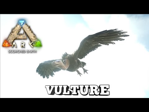Taming A Vulture | Ark Survival Evolved | Scorched Earth