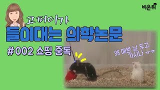 고피디가 들이대는 의학논문 #002 쇼핑 중독