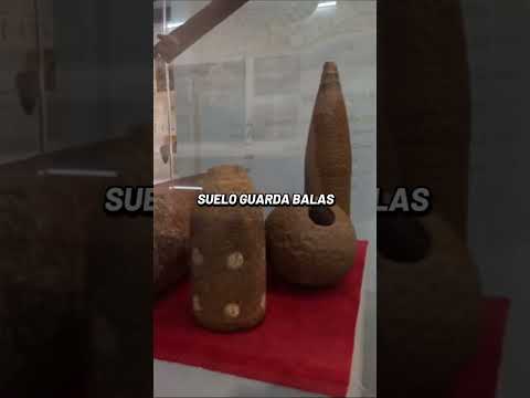 Isla del Cerrito. Crédito: Lucas.