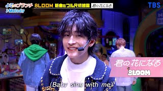 Download lagu 8LOOM 「Melody」 よるのブランチ Performance Ver.【TBS】 mp3 Download lagu 8LOOM 「Melody」 よるのブランチ Performance Ver.【TBS】 mp3