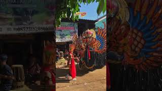 Download lagu Barong kumbo dan gandrung sekar kedhaton #banyuwangi #culture #jaranan #barongkumbo mp3