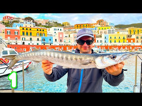 BIG Mediterranean Barracudas on Topwater Lure! Fishing in a Paradise Island in Italy - Catch & Cook