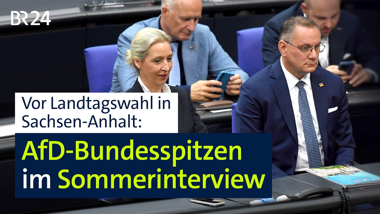 AfD: Bundesspitzen im Sommerinterview | BR24