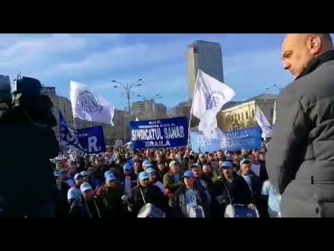 PROTEST BNS 12.12.2017