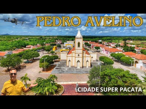 PEDRO AVELINO princesa do Sertão