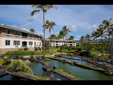 Point at Poi Pu, HI ReVyvit Project