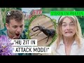 GEBETEN DOOR GROOTSTE KEVER VAN EUROPA!! | Steken & Prikken | seizoen 3 #6 | NPO Zapp
