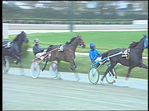 Trotto 25/11/2016 - 3ª corsa