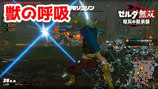 【実況】定年を迎えた父を再びハイラルの大地に放り込むPart35【ゼルダ無双 厄災の黙示録】