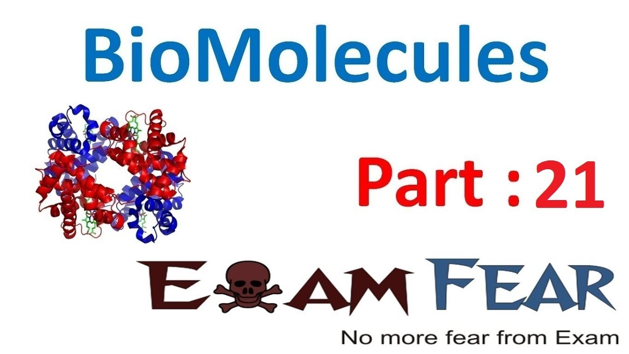 Chemistry Biomolecules part 21 (Nucleic Acids) CBSE class 12 XII