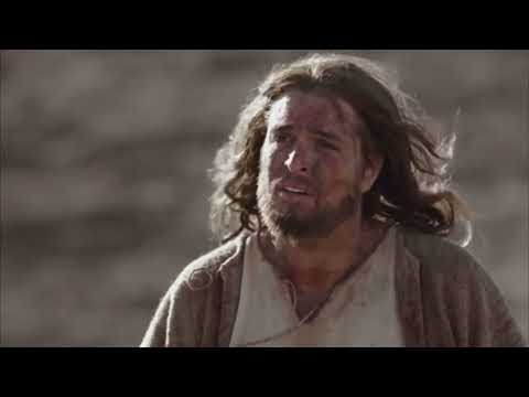 Wilderness by Antonio Ford