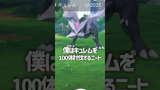 【バグあり】キュレムを100体討伐するニート/イッシュツアー