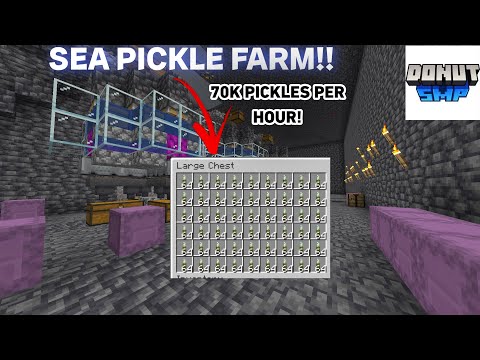 How to make a Sea Pickle Farm on the DONUTSMP! (One of the best money making methods)