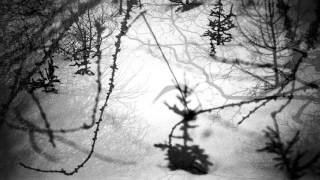 Jean-Louis Murat - La Chanson du Cavalier (teaser)