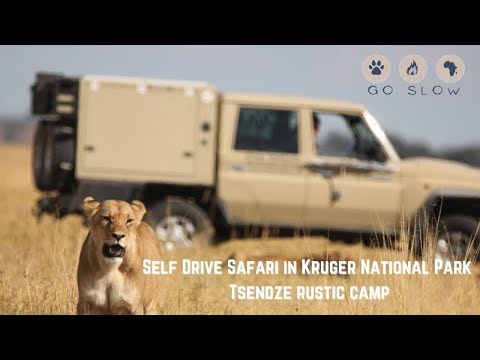 Self Drive Safari in Kruger National Park, Tsendze rustic camp - Episode 2 teaser