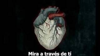 Alice in Chains - Lesson Learned (subtitulos español)
