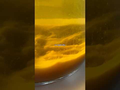 AVOID THIS MISTAKE WHEN MAKING MEAD