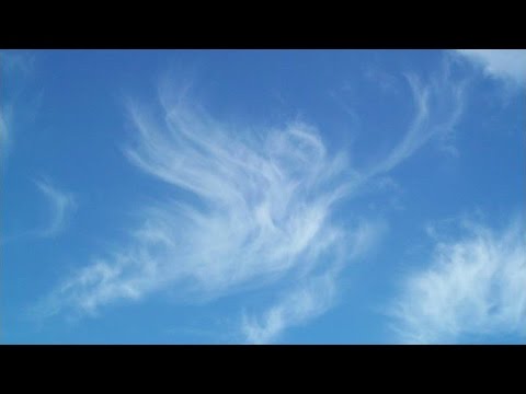 Kristy Thirsk - Home for Angels (Lyrics)