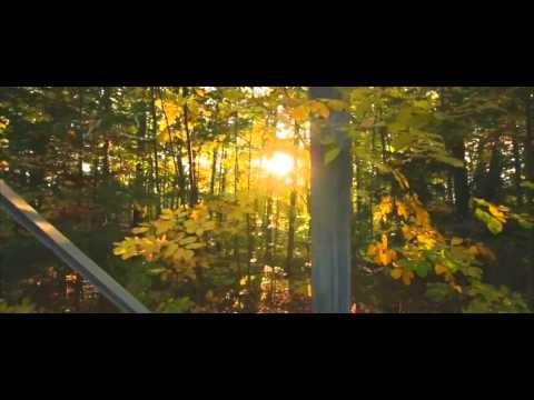 Volcano Choir - Husks and Shells