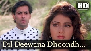 Dil Deewana Dhoondh Raha Hai - Salman Khan - Sridevi