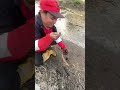 Lubang Kecil Isinya Semok Belutbabon