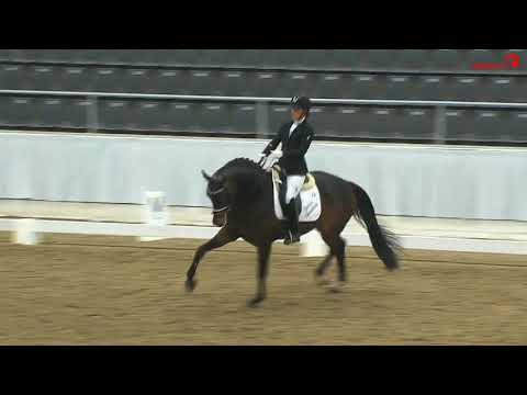 Donauschall Sportprüfung Verden