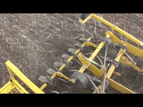 Claydon 6m Hybrid Drill Drilling Wheat into Rape Stubbles