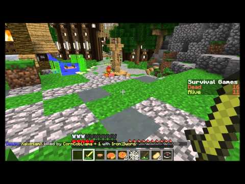 Hunger Games (Mineplex): Axe Master