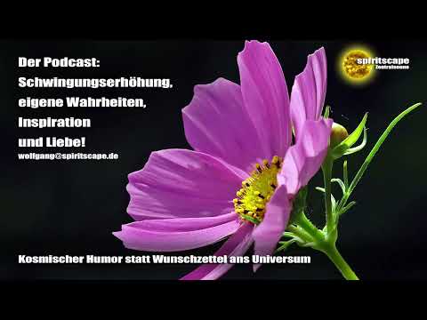 Kosmischer Humor statt Wunschzettel ans Universum – Podcast