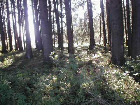 Möge die Strasse - Irisches Segenslied, tolle Chorfassung