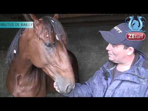 Tour de Cour chez Bruno BOURGOIN (Part1) - A2TURF.COM