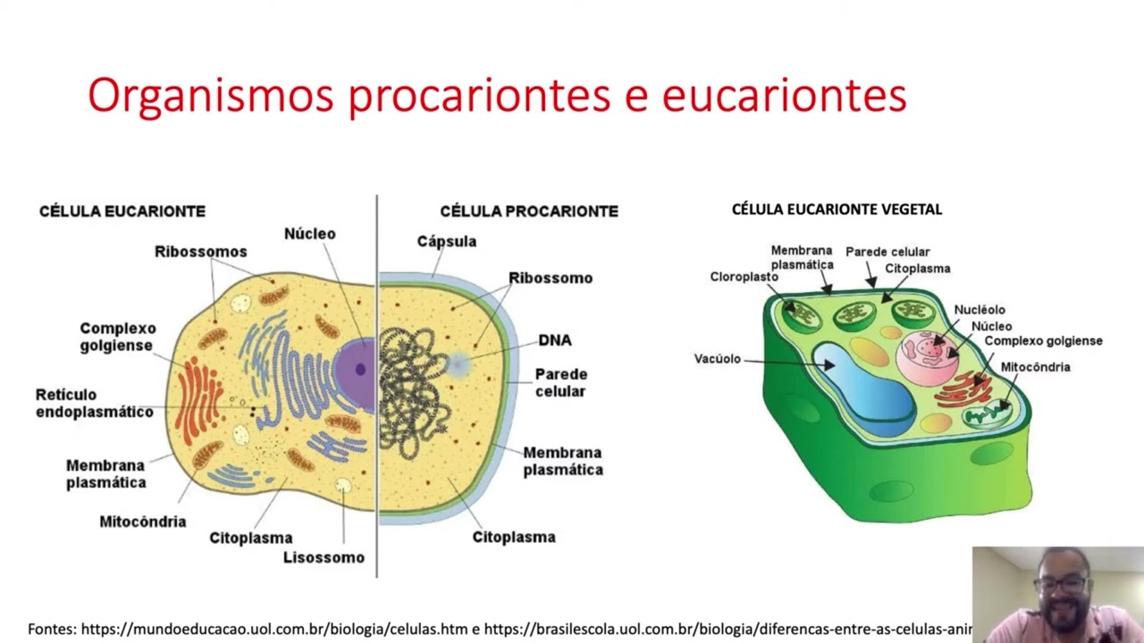 Moléculas essenciais à vida