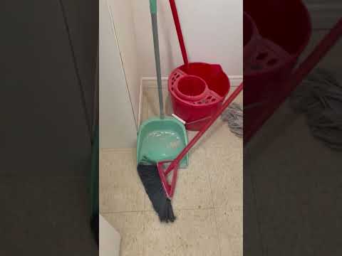Maria`s Team Cleaning Company video.