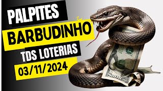 PALPITES HOJE 03/11/2024