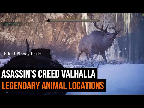 Part of a video titled All 9 Assassins Creed Valhalla Legendary Animal locations