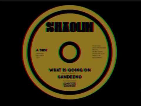 Sandeeno - What is Going On (Shaolin Sounds 2023)
