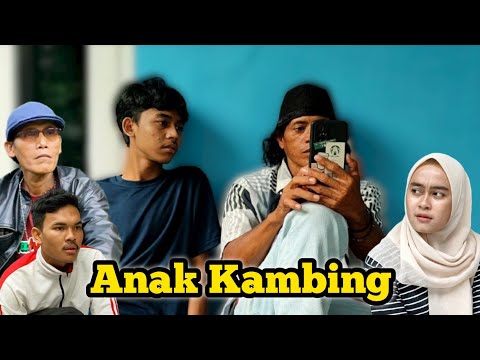 anak-kambing