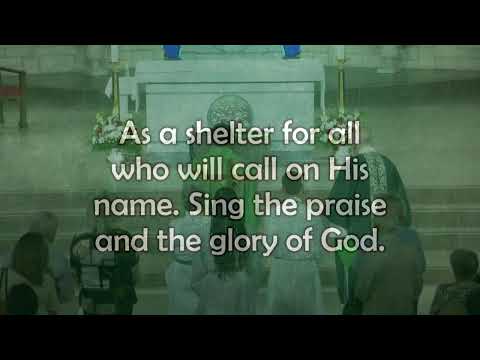 SUNDAY BROADCAST - 10:30 AM MASS