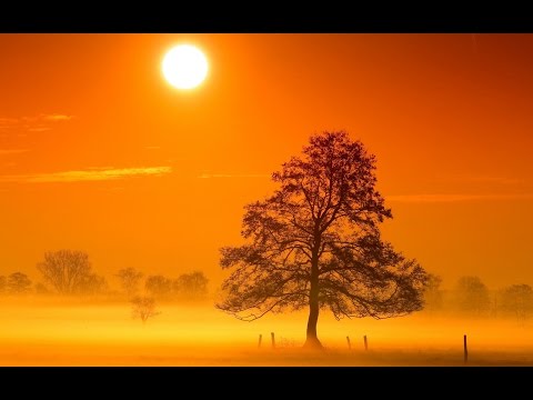 Handel  - La Resurrezione