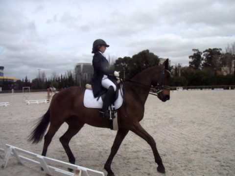 Carminho Marcelino e Tim - Poule SHP Junior Preleminar