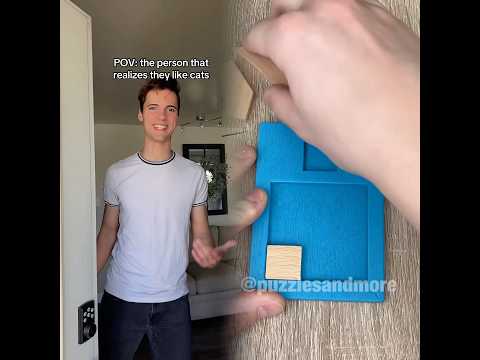 everyones a cat person, they just don’t know it yet #cat #cats #funnycat #catowner #catlover #funny