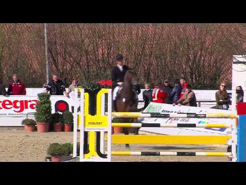 Holsteiner Hengst CUBIKI v. Cassini I