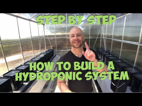 How to Build a Dutch Bucket Deep Water Hydroponic System (Full Video)