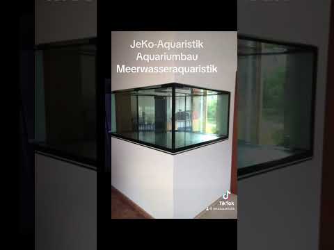 JeKo-Aquaristik #aquarium #aquariumbau #fische #fishtank #foryou #meerwasseraquaristik #viral #4u #